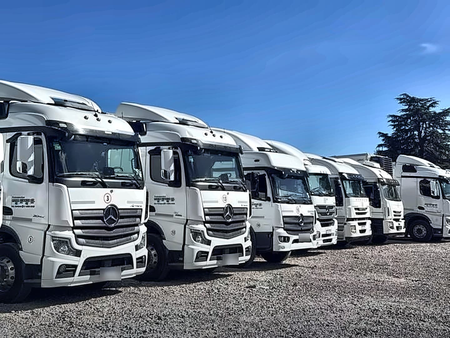 Camiones de la flota estacionados en fila en la base