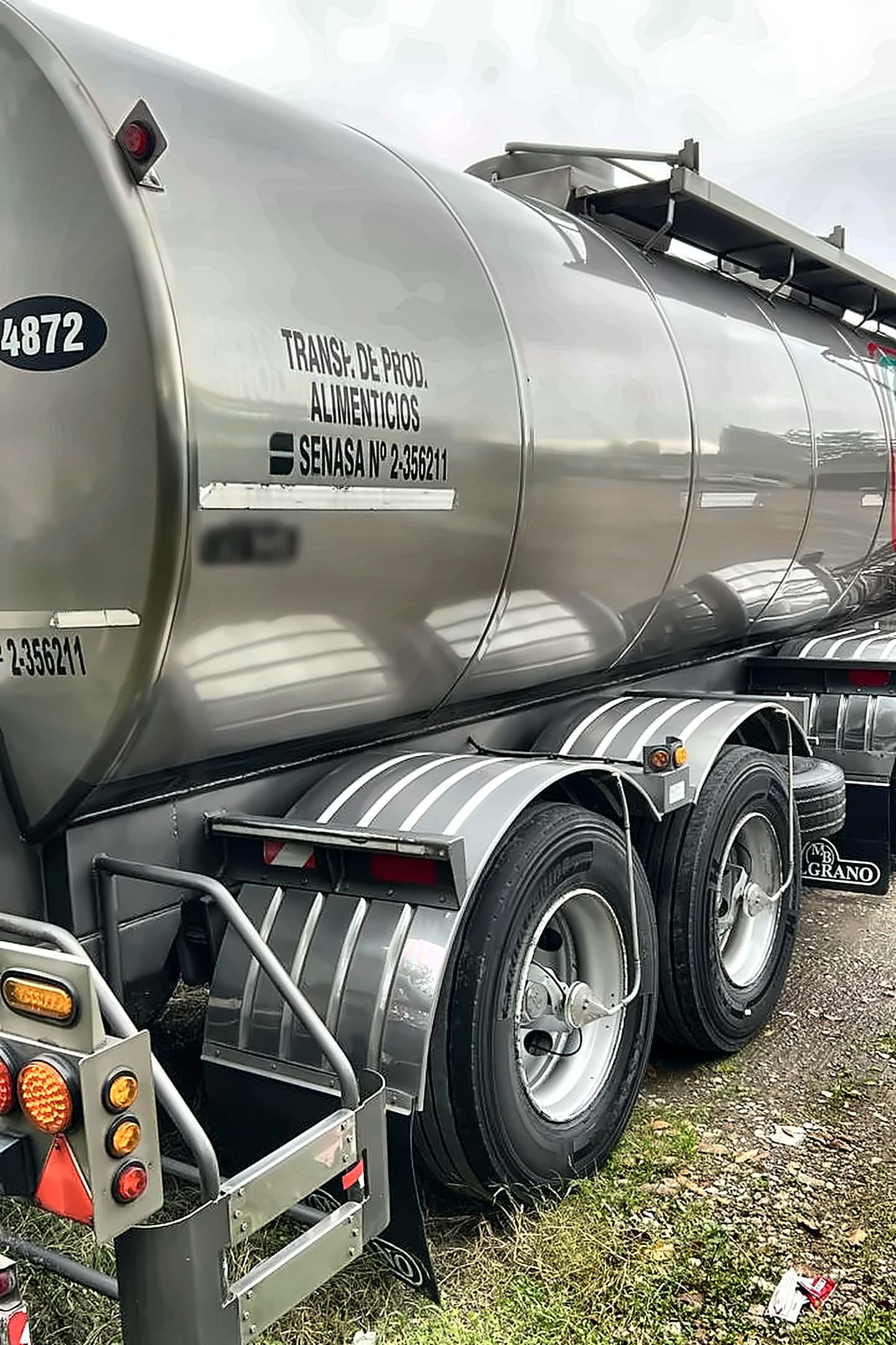 Termo lechero de acero inoxidable habilitado por SENASA